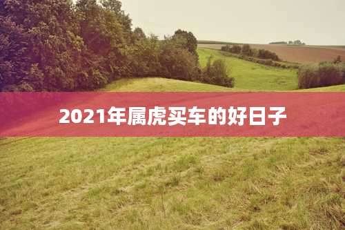 2021年属虎买车的好日子