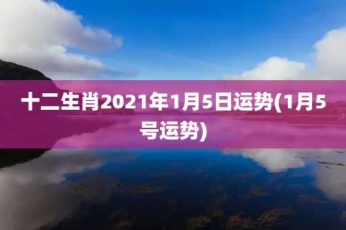 十二生肖2021年1月5日运势(1月5号运势)