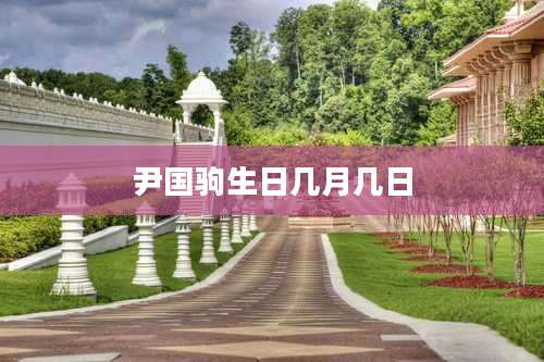 尹国驹生日几月几日