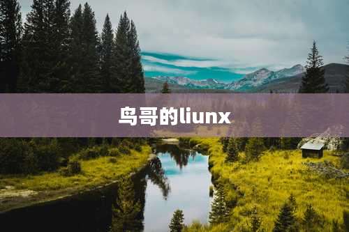 鸟哥的liunx