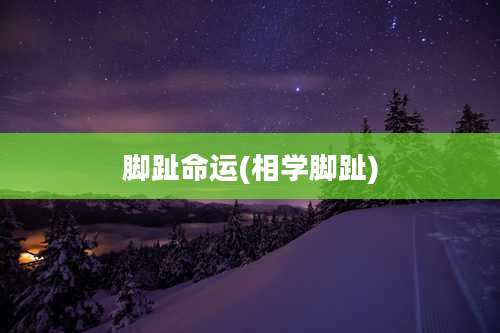 脚趾命运(相学脚趾)