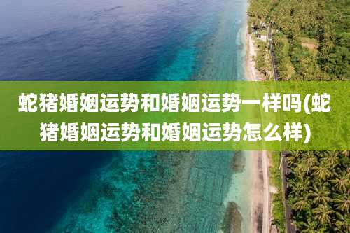 蛇猪婚姻运势和婚姻运势一样吗(蛇猪婚姻运势和婚姻运势怎么样)