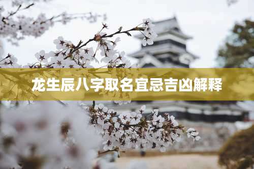 龙生辰八字取名宜忌吉凶解释
