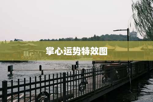 掌心运势特效图