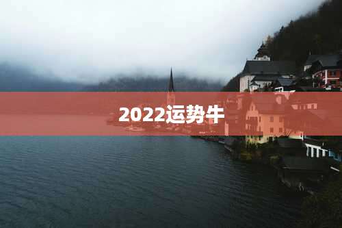 2022运势牛