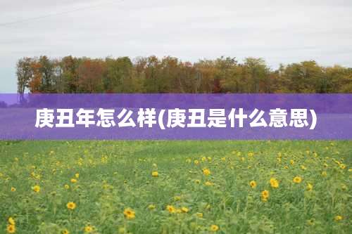 庚丑年怎么样(庚丑是什么意思)