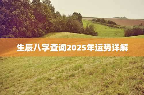 生辰八字查询2025年运势详解