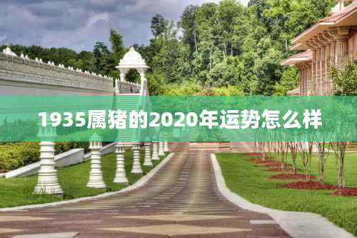 1935属猪的2020年运势怎么样