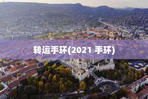 转运手环(2021 手环)