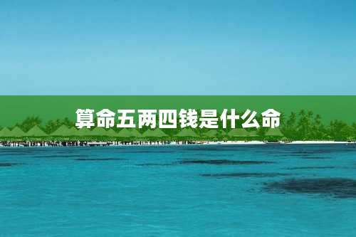 算命五两四钱是什么命