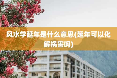 风水学延年是什么意思(延年可以化解祸害吗)