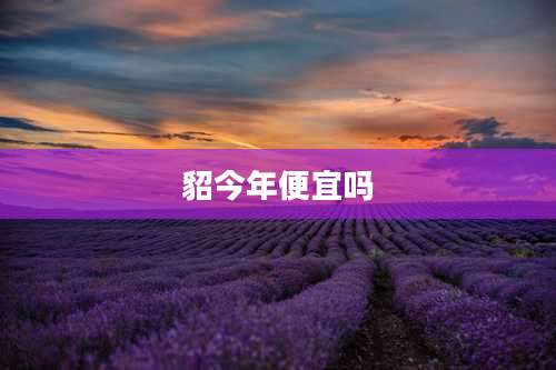 貂今年便宜吗