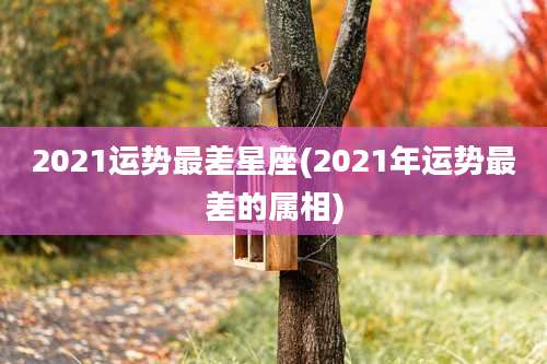 2021运势最差星座(2021年运势最差的属相)