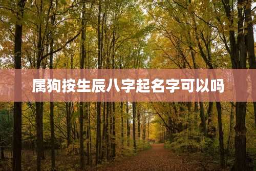 属狗按生辰八字起名字可以吗