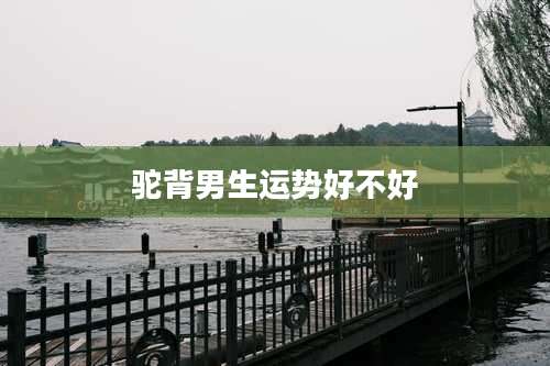 驼背男生运势好不好
