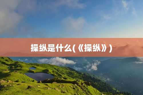 操纵是什么(《操纵》)