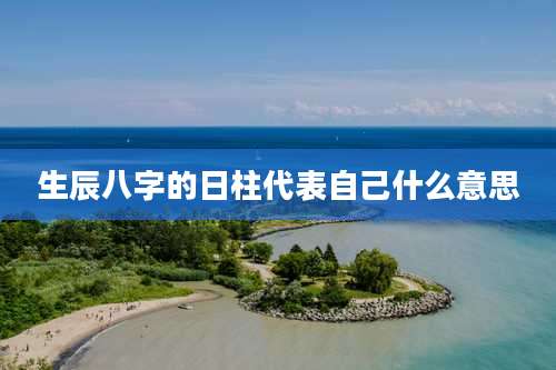 生辰八字的日柱代表自己什么意思