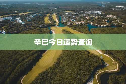 辛巳今日运势查询