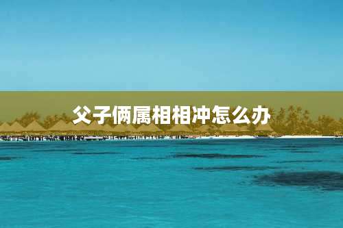 父子俩属相相冲怎么办
