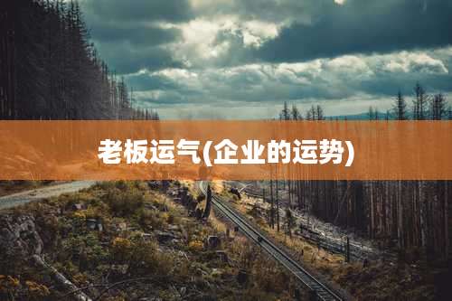 老板运气(企业的运势)