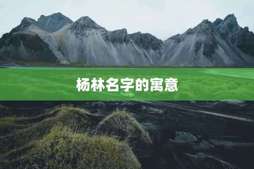 杨林名字的寓意