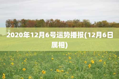 2020年12月6号运势播报(12月6日属相)