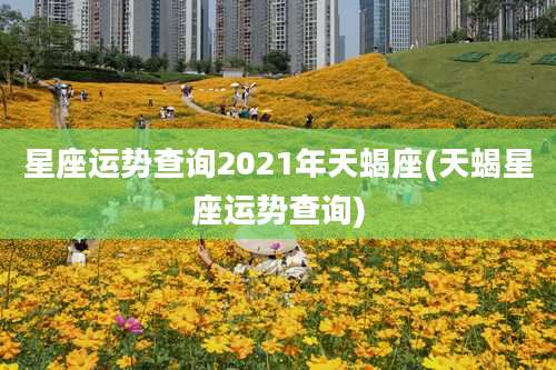 星座运势查询2021年天蝎座(天蝎星座运势查询)