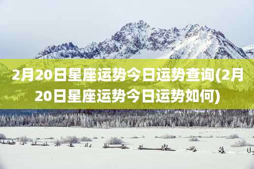 2月20日星座运势今日运势查询(2月20日星座运势今日运势如何)