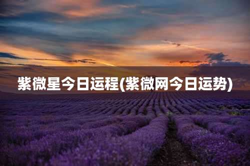 紫微星今日运程(紫微网今日运势)