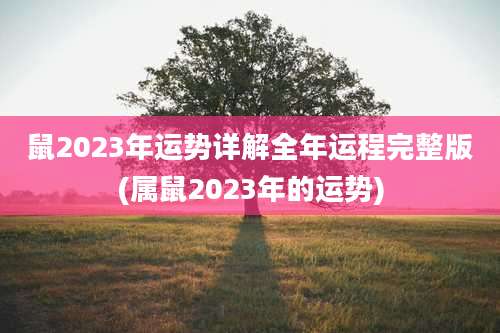 鼠2023年运势详解全年运程完整版(属鼠2023年的运势)