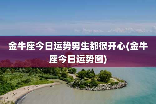 金牛座今日运势男生都很开心(金牛座今日运势图)