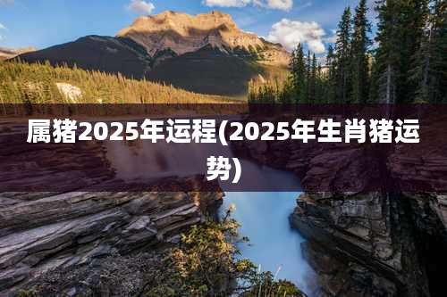 属猪2025年运程(2025年生肖猪运势)