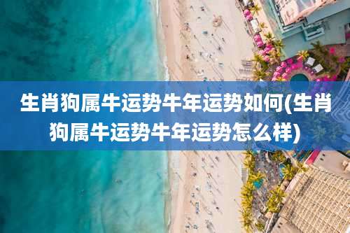 生肖狗属牛运势牛年运势如何(生肖狗属牛运势牛年运势怎么样)