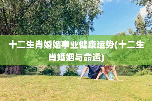 十二生肖婚姻事业健康运势(十二生肖婚姻与命运)