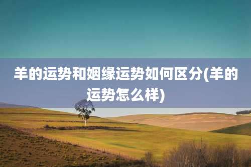 羊的运势和姻缘运势如何区分(羊的运势怎么样)