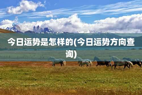 今日运势是怎样的(今日运势方向查询)
