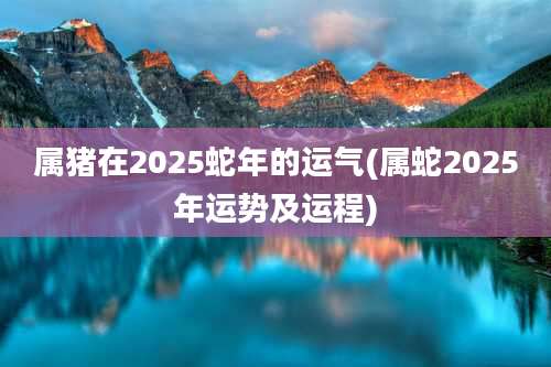 属猪在2025蛇年的运气(属蛇2025年运势及运程)