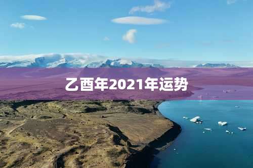 乙酉年2021年运势