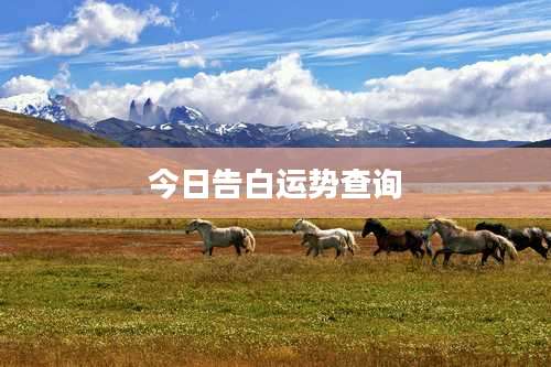 今日告白运势查询