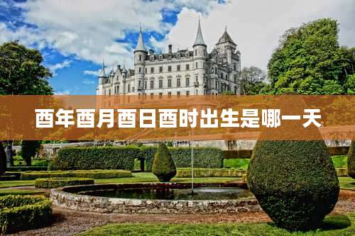 酉年酉月酉日酉时出生是哪一天