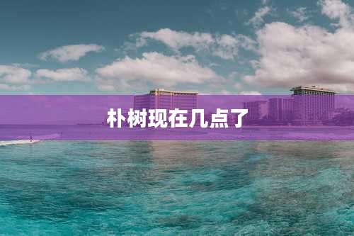 朴树现在几点了