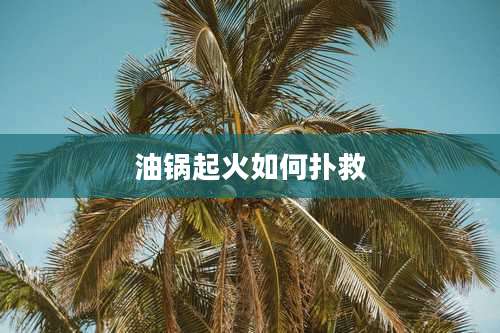 油锅起火如何扑救