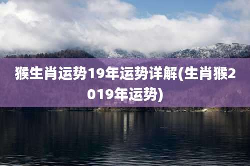 猴生肖运势19年运势详解(生肖猴2019年运势)