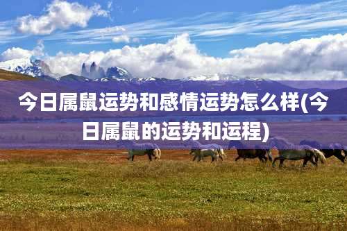 今日属鼠运势和感情运势怎么样(今日属鼠的运势和运程)