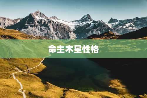 命主木星性格