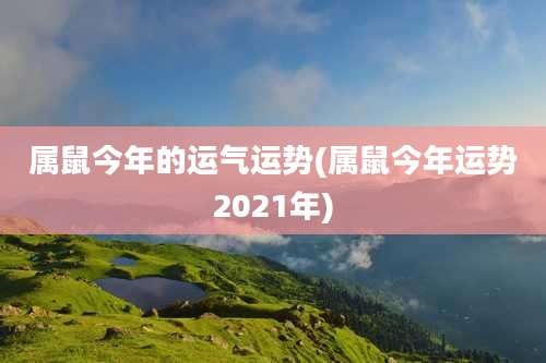 属鼠今年的运气运势(属鼠今年运势2021年)