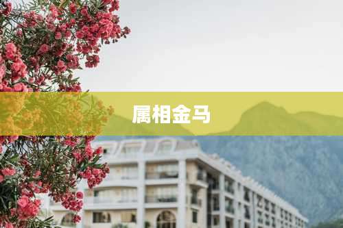 属相金马