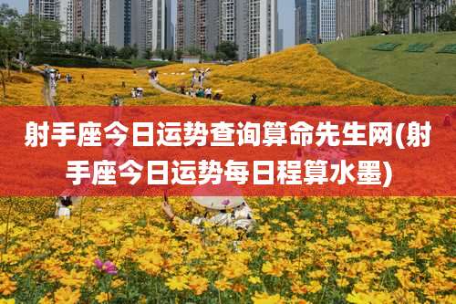 射手座今日运势查询算命先生网(射手座今日运势每日程算水墨)