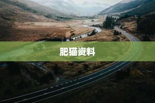 肥猫资料