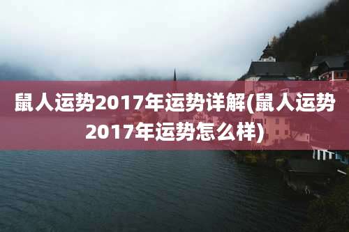 鼠人运势2017年运势详解(鼠人运势2017年运势怎么样)